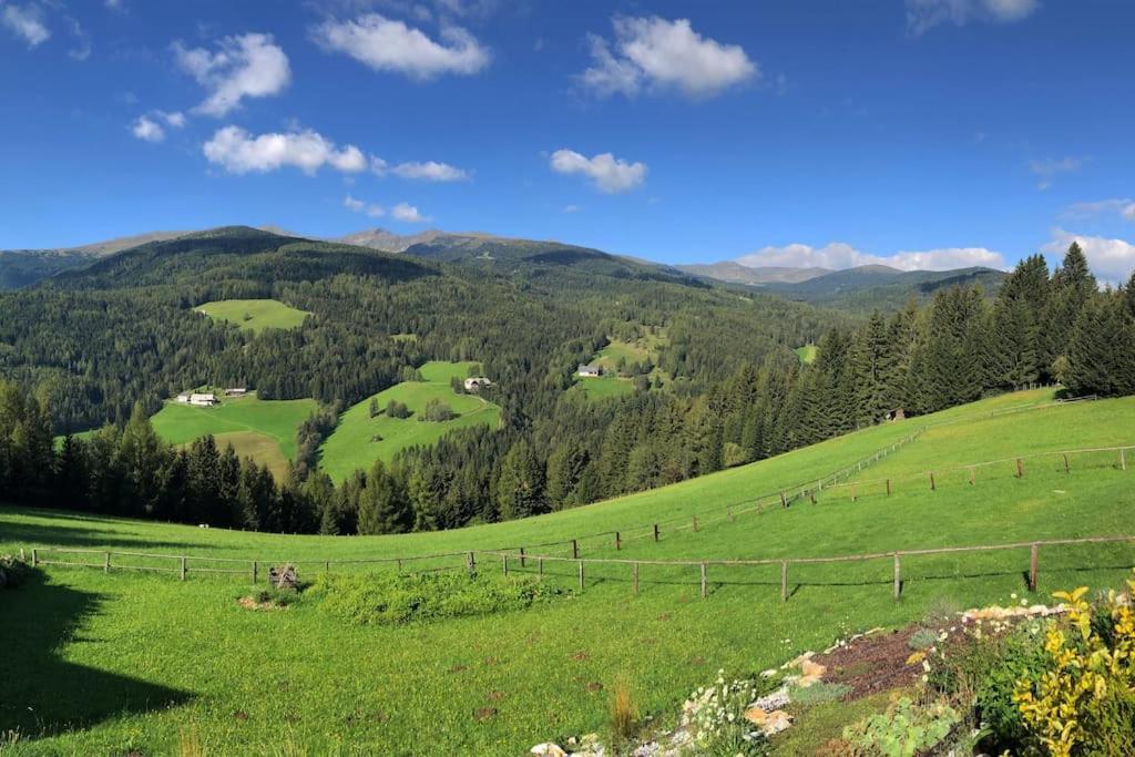 St Wolfgang-Kienberg - Ruhe Und Entspannung Mit Bester Aussicht Βίλα Obdach Εξωτερικό φωτογραφία